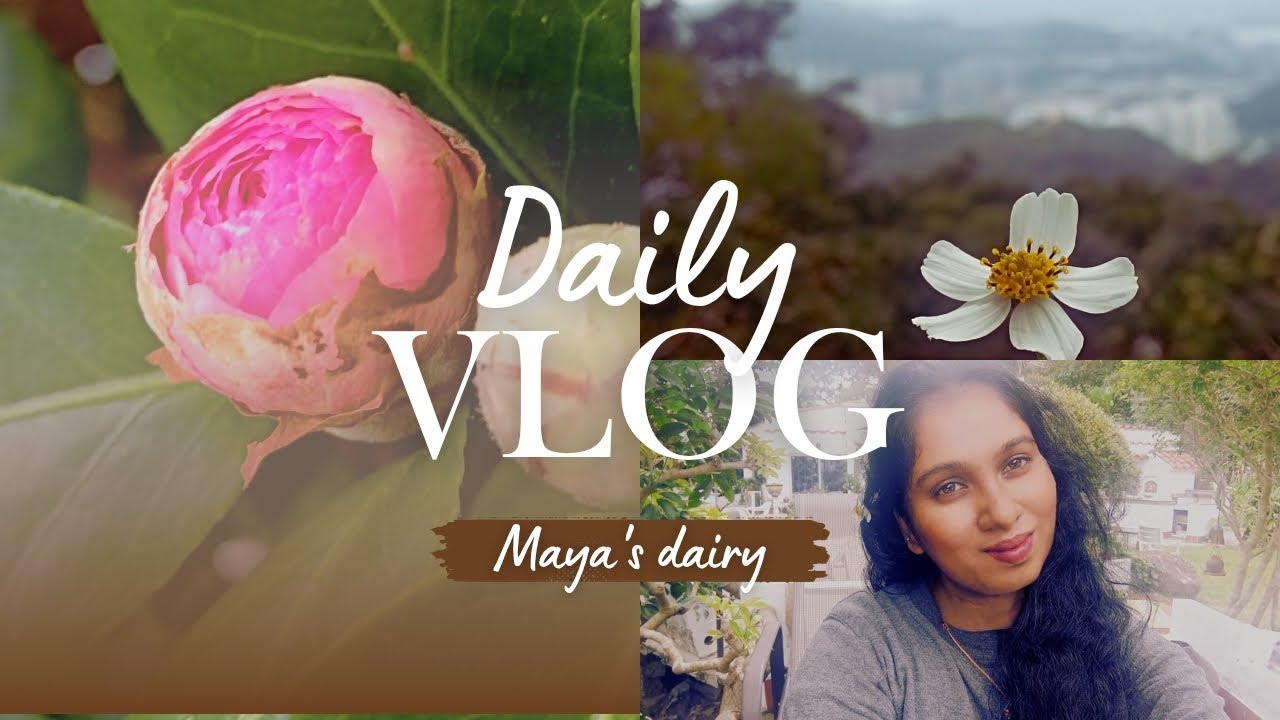 Life in Hong Kong 🇭🇰||daily vlog..❤🌸