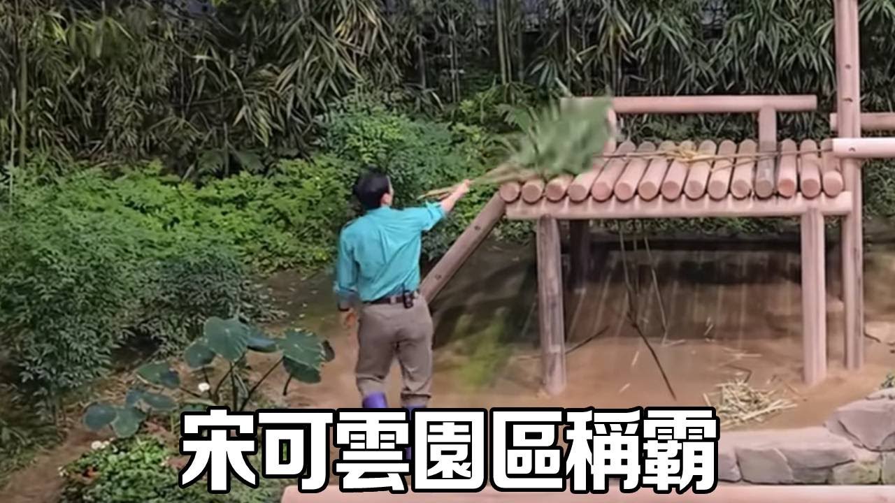 姜爺爺不在宋可云稱王稱霸，在園區肆無忌憚隨意奔走，怎料愛寶不聽他的！【有趣的喵哇】