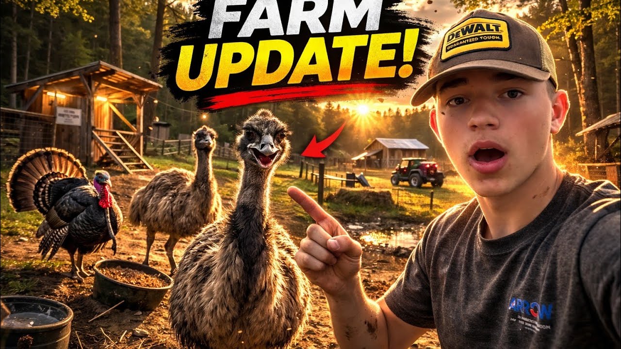 update on all of my exotic animals on my small farm