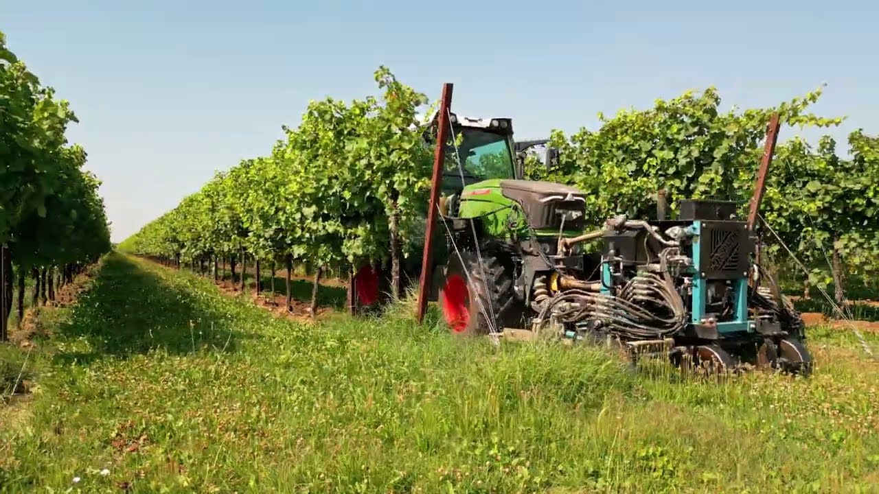 Apertura piante 2023 | Fendt 211p e Spedo dual