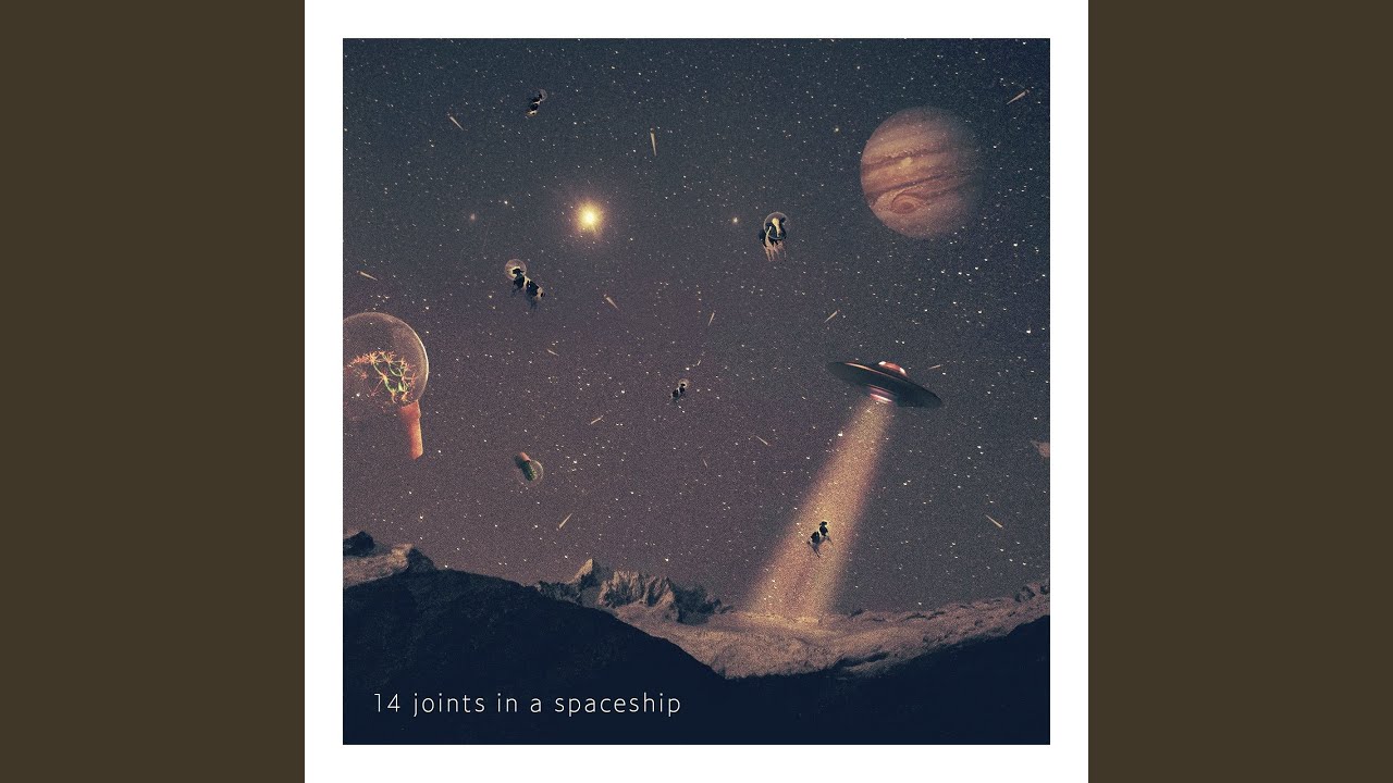 14 Joints in a Spaceship