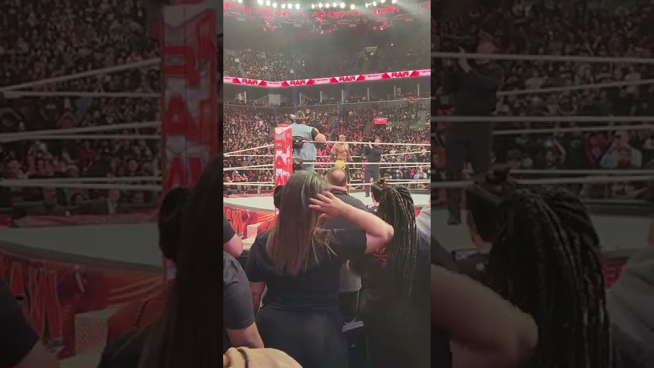 The return of The Beast Incarnate Brock Lesnar