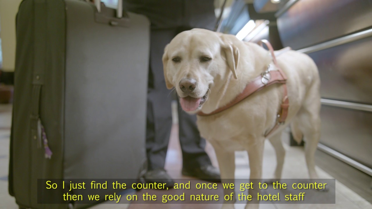 Taking the Lead: How does a Guide Dog know where to go?