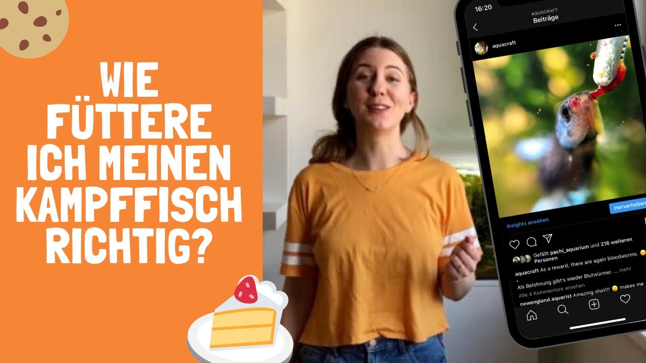 Wie füttere ich meinen Kampffisch richtig? | Fütterungsempfehlung | Futter für Bettas