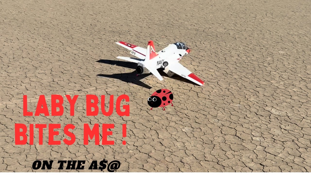 Freewing T-45 turbine crash landing ! “Lady bug “bites me !🐞😭