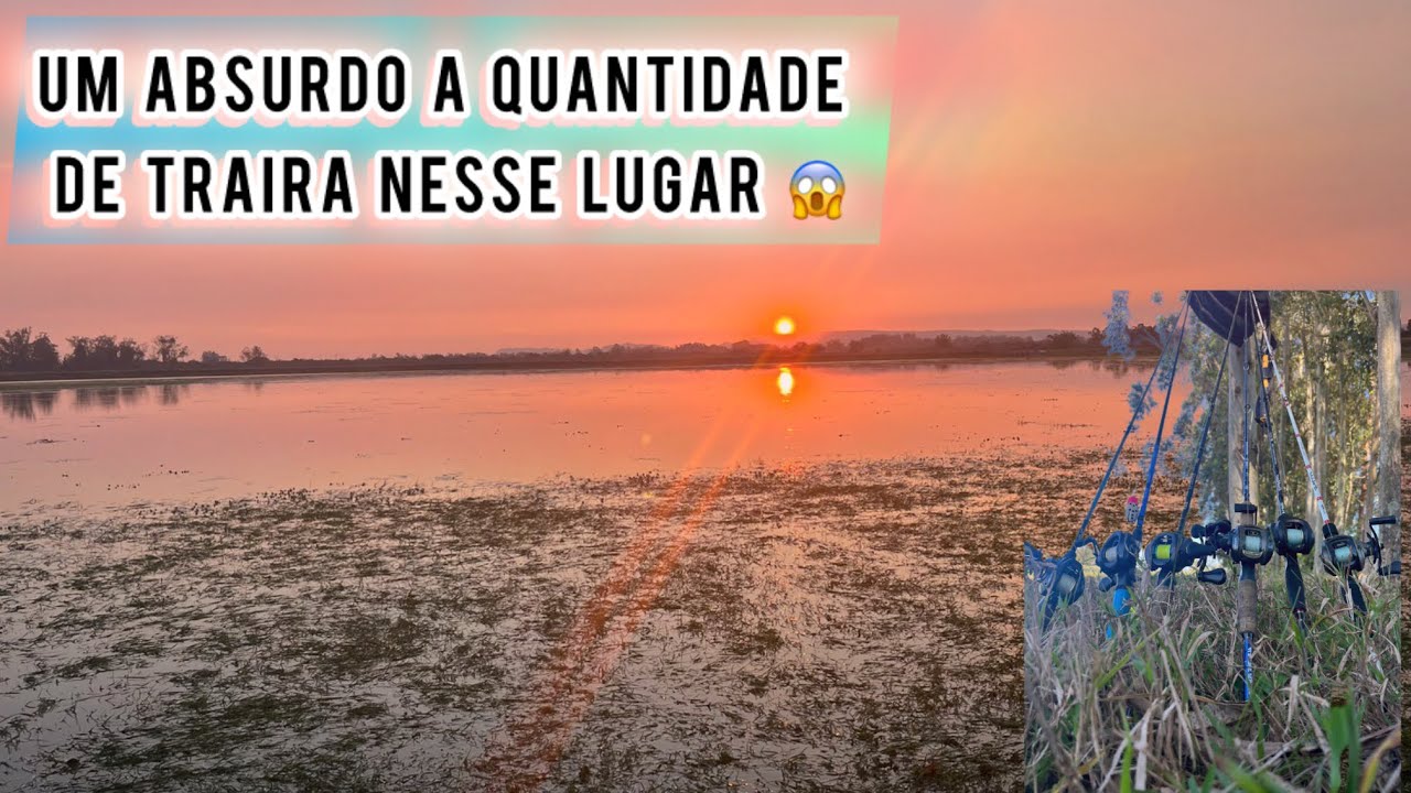 Você nunca viu TANTA TRAÍRA! #pescariadetraira