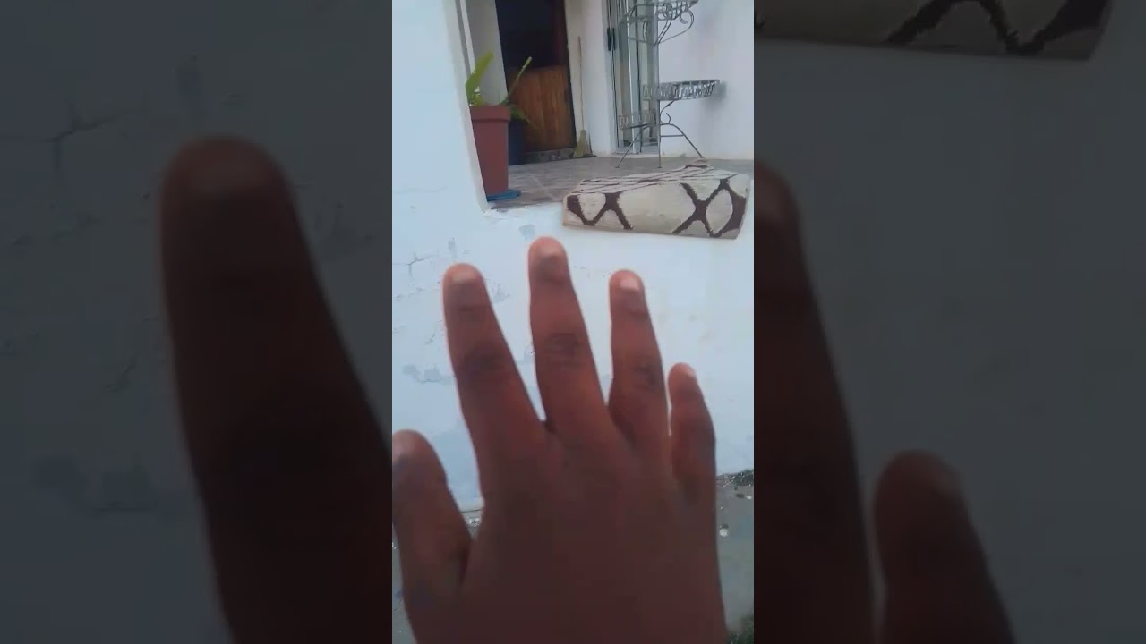 Ndsj