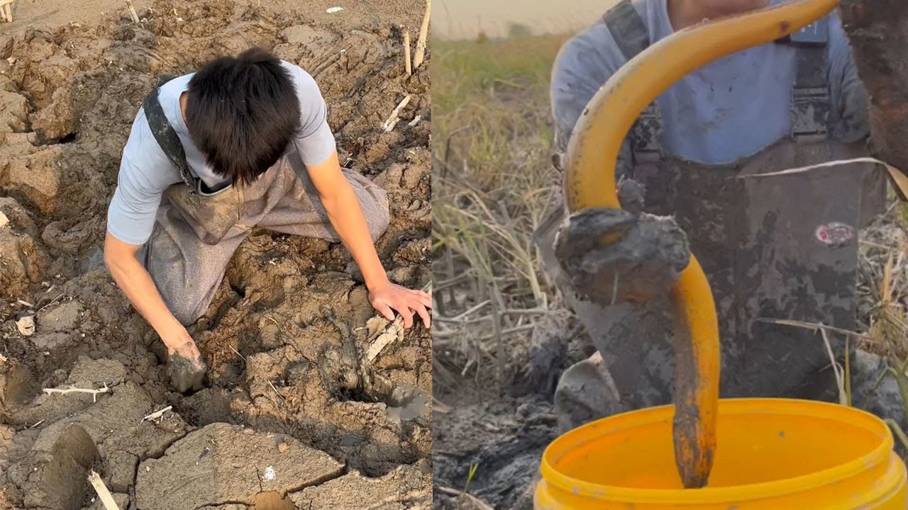 這個吃鴨子的塘現在水已經徹底放幹了，直接過去盤老板走#搞笑 #咱村小结巴 #农村生活 #fishing #snake #outdoors