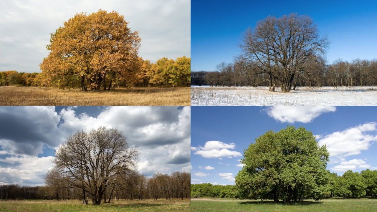 Astronomical & Meteorological Season Changes