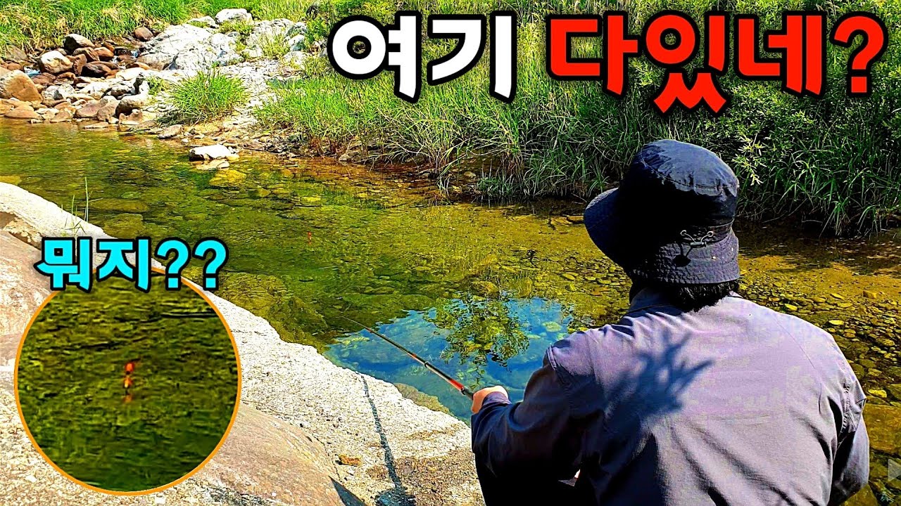 1급수 계곡 최고의 맛 그리고 희귀한 물고기/직접 잡아먹는 술안주여행/1인 낚시터 찾다 혼자 즐기는 낚시