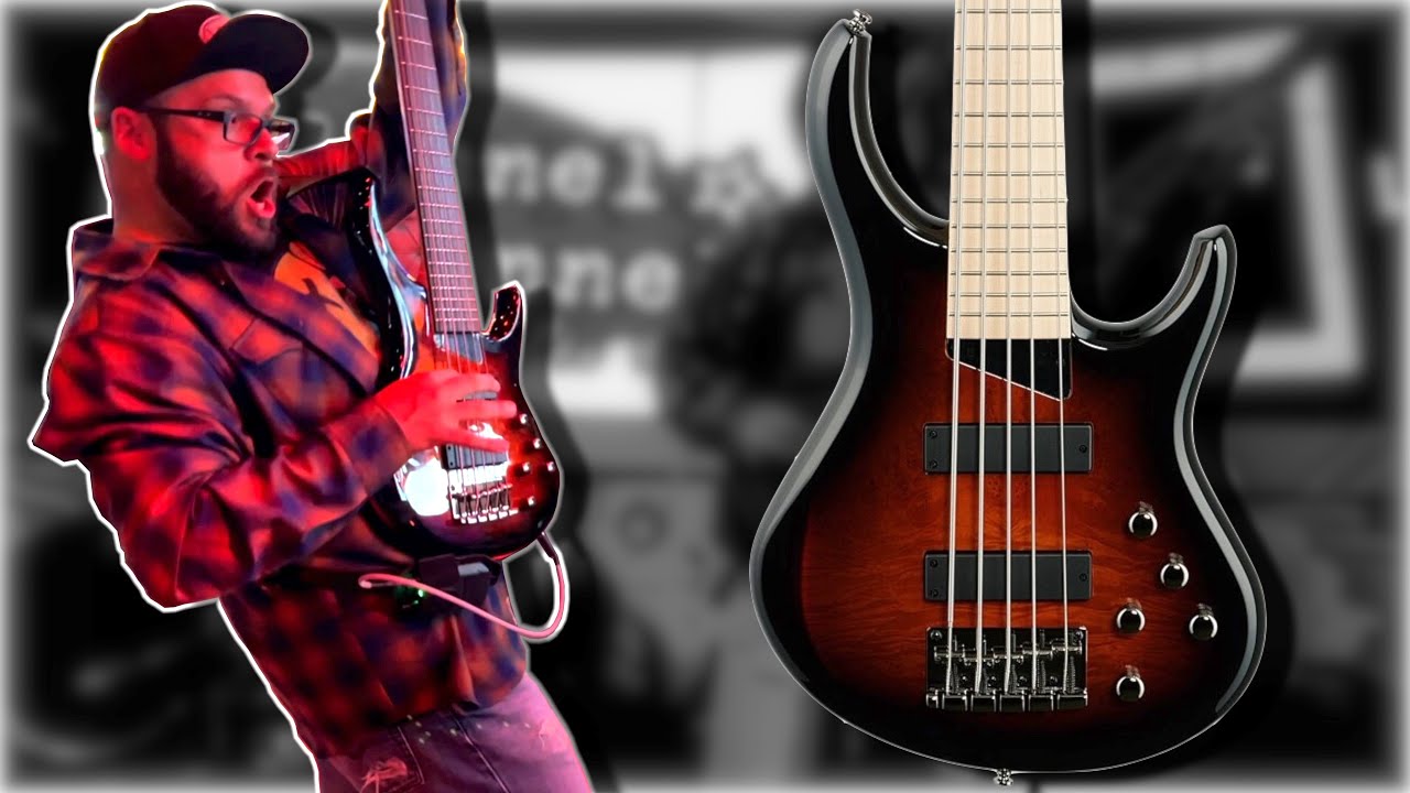 This Bass is SO PUNCHY in a Live Mix // MTD Kingston Z5