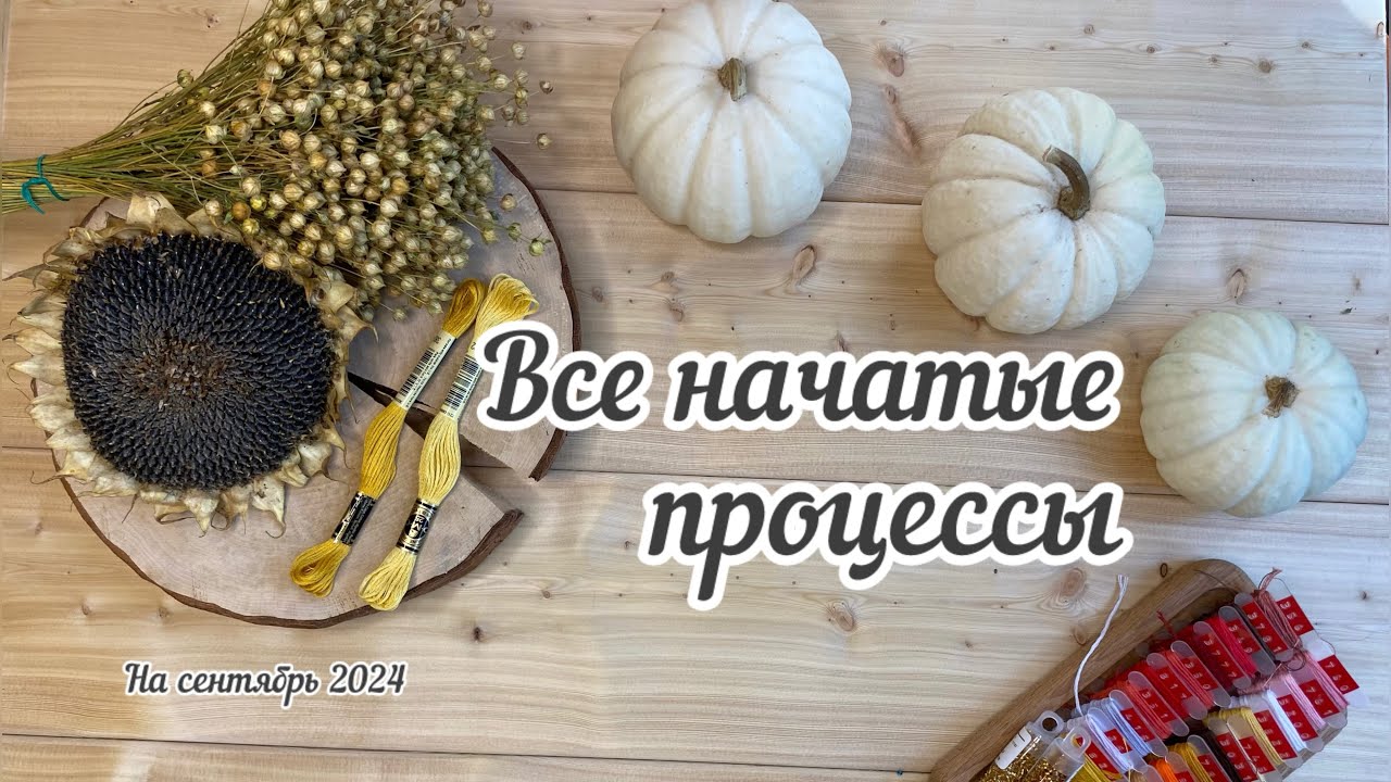 Все мои НАЧАТЫЕ ПРОЦЕССЫ🙀 #вышивка