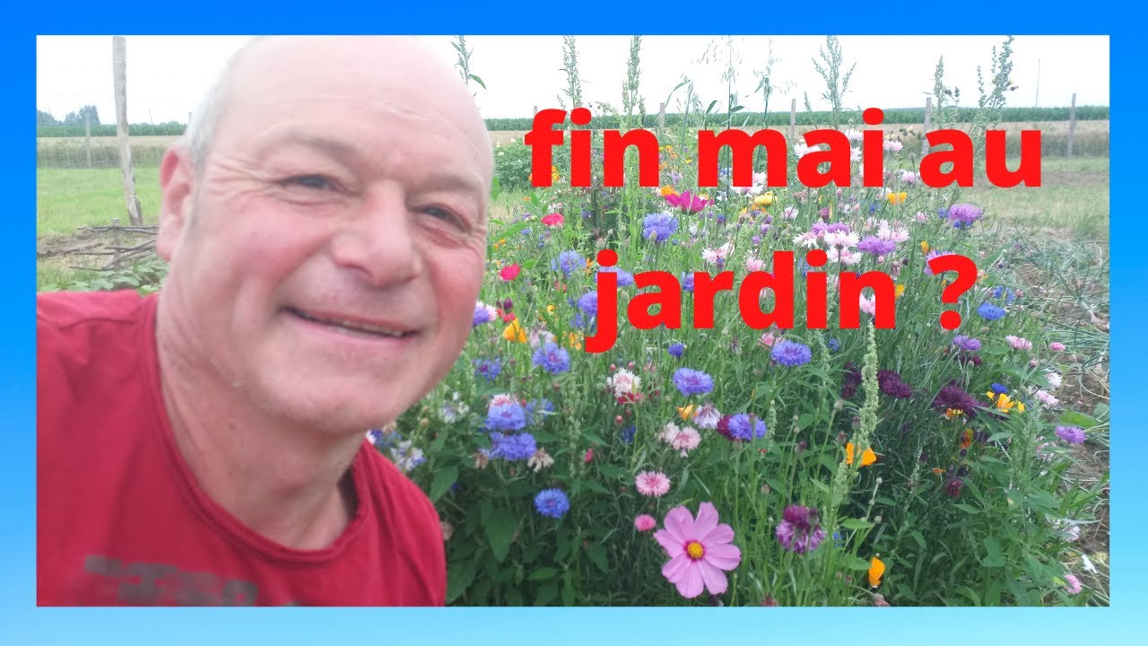 que faire fin mai au jardin !!!!!