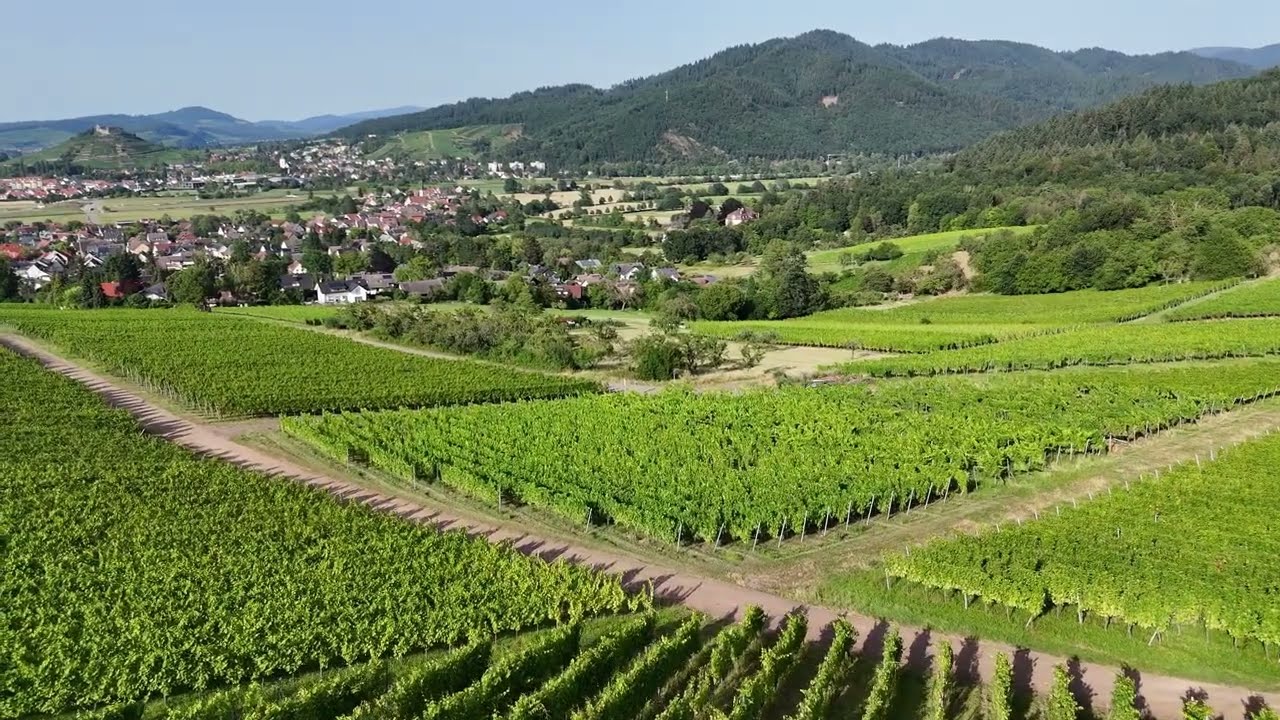 ÜBER DEM SCHWARZWALD – Ein ruhiger Drohnenflug DJI AIR 3