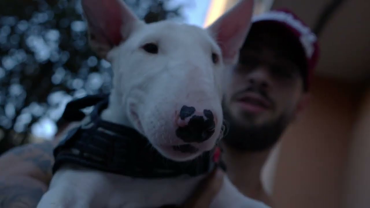 DONKA - LEBRON 