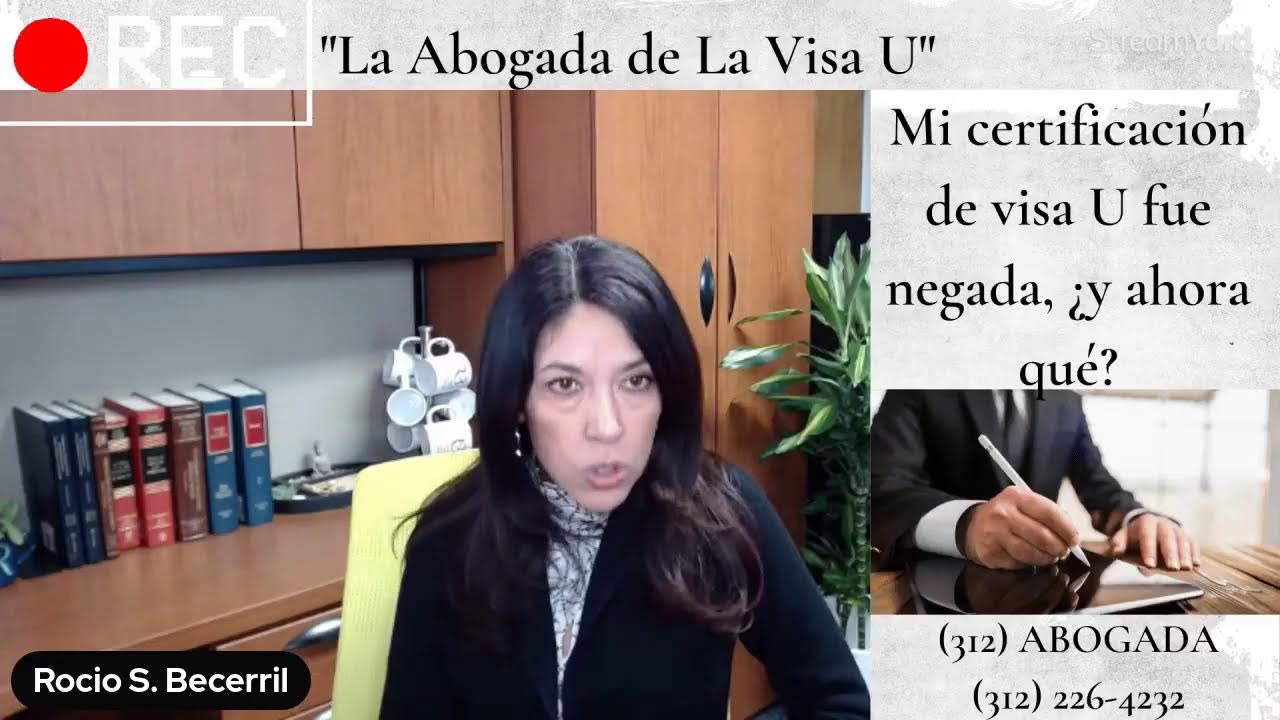 Mi certificación de visa U fue negada, ¿y ahora qué?