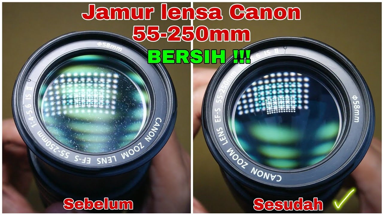 Cleaning Fungus in 55-250mm Canon Lens (Membersihkan jamur pada lensa canon 55-250mm)