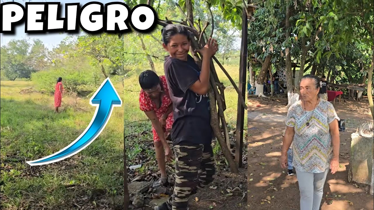 Doña Beatriz Se Metió En Problemas😭FUE A ROBAR COSAS A ESTE TERRENO PRIVADO! la dueña se Enojó 