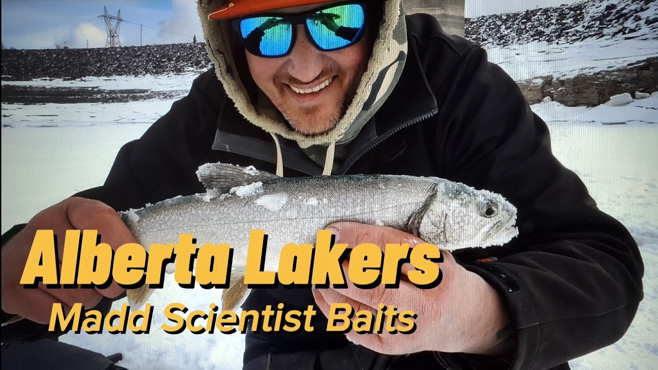 Abraham Lakers With Mad Scientists Baits