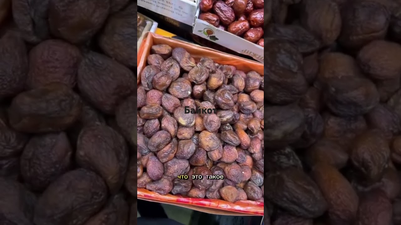 Бойкот . Boykott