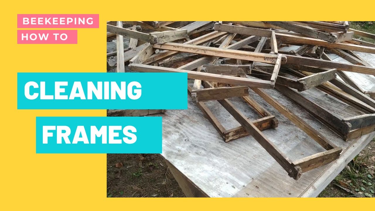☯️ Beekeeping  | How to Clean Frames ~ Cleaning Dirty Old Wax Off Frames #beekeeper