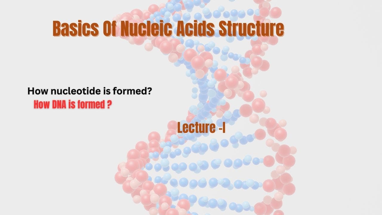 Basics of nucleic acid (structure of DNA and nucleotides) lecture 1 in Hindi