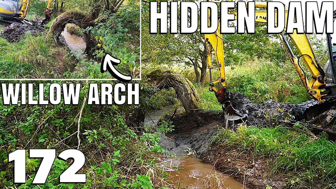 Hidden Dam Under the ARCHED Willow! | THREE DAMS Release | Excavator | No.172