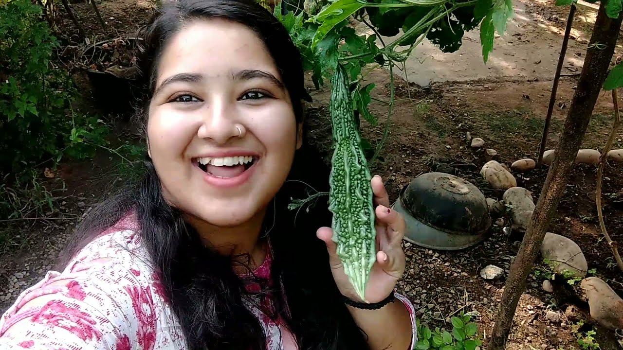Village house tour / Indian village house vlogs