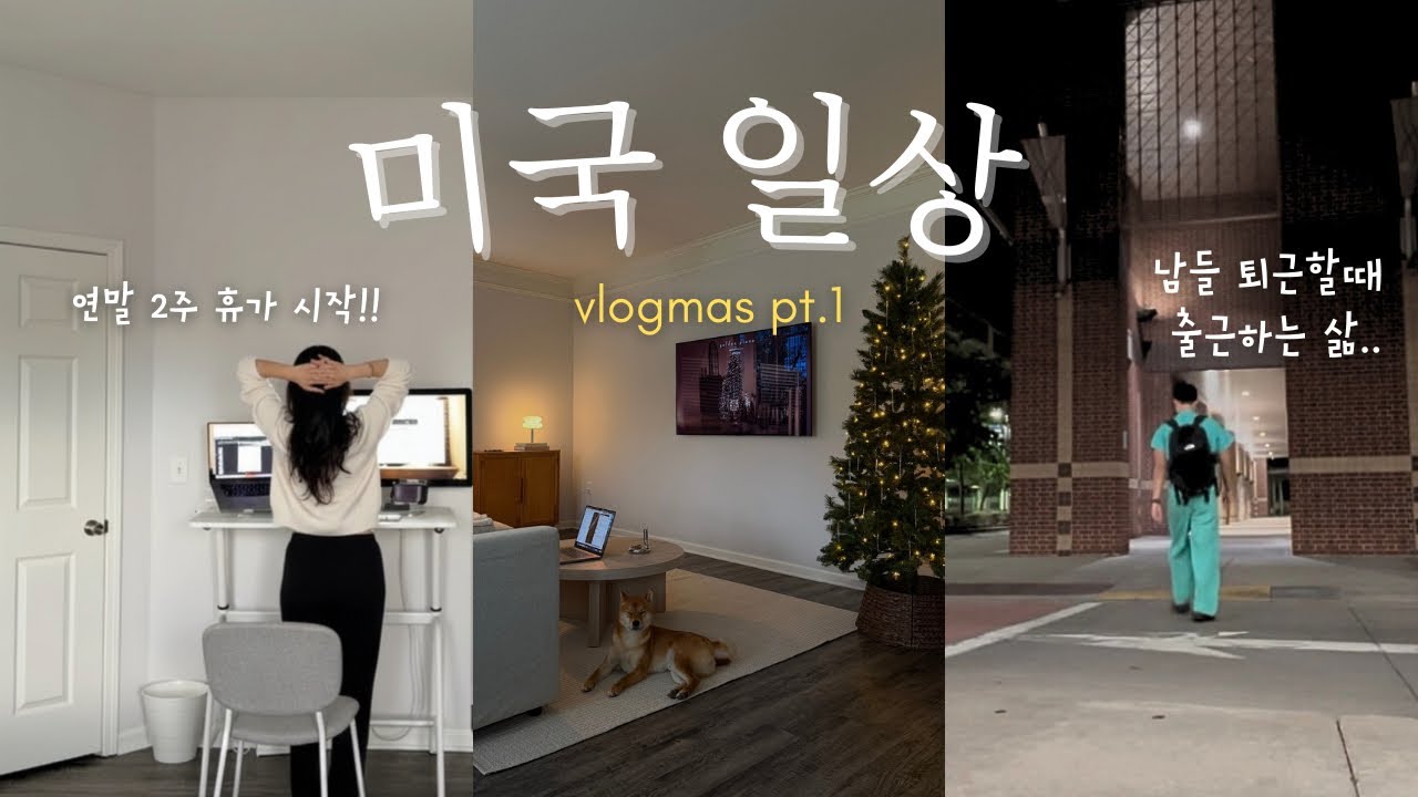 🇺🇸 미국 직장인 일상. 👋🏻마지막 근무. 🏥병원 당직. 🎄크리스마스 쇼핑. 📦아마존 세일템 언박싱. 🎅🏻Vlogmas pt.1