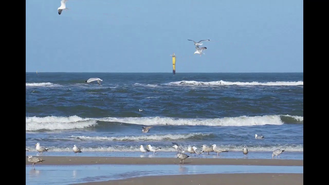 Orgelmusik und Sylt-Impressionen