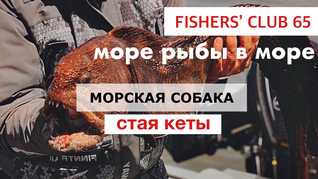 Морское Эльдорадо. Охотское море. Сахалин 2021