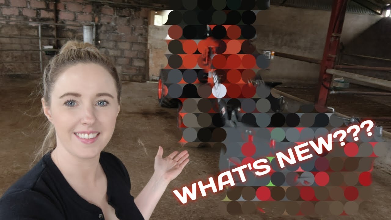 A BIG HELPING HAND ARRIVED ON DEMO