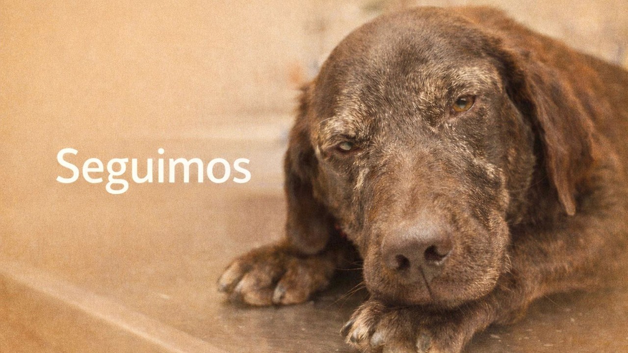 Cuando Pensábamos que No Saldría… Iris Empieza a Ganar la Batalla