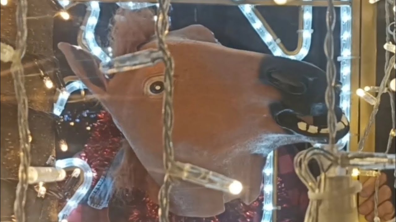 TRINKI, TRINKI (Sota Kaballo Rey)