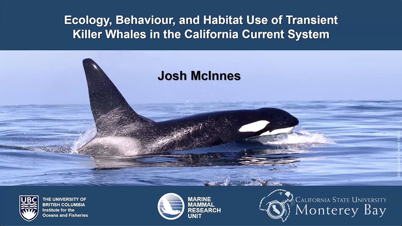 Ecology of Killer Whale Ecotypes along the Pacific Coast