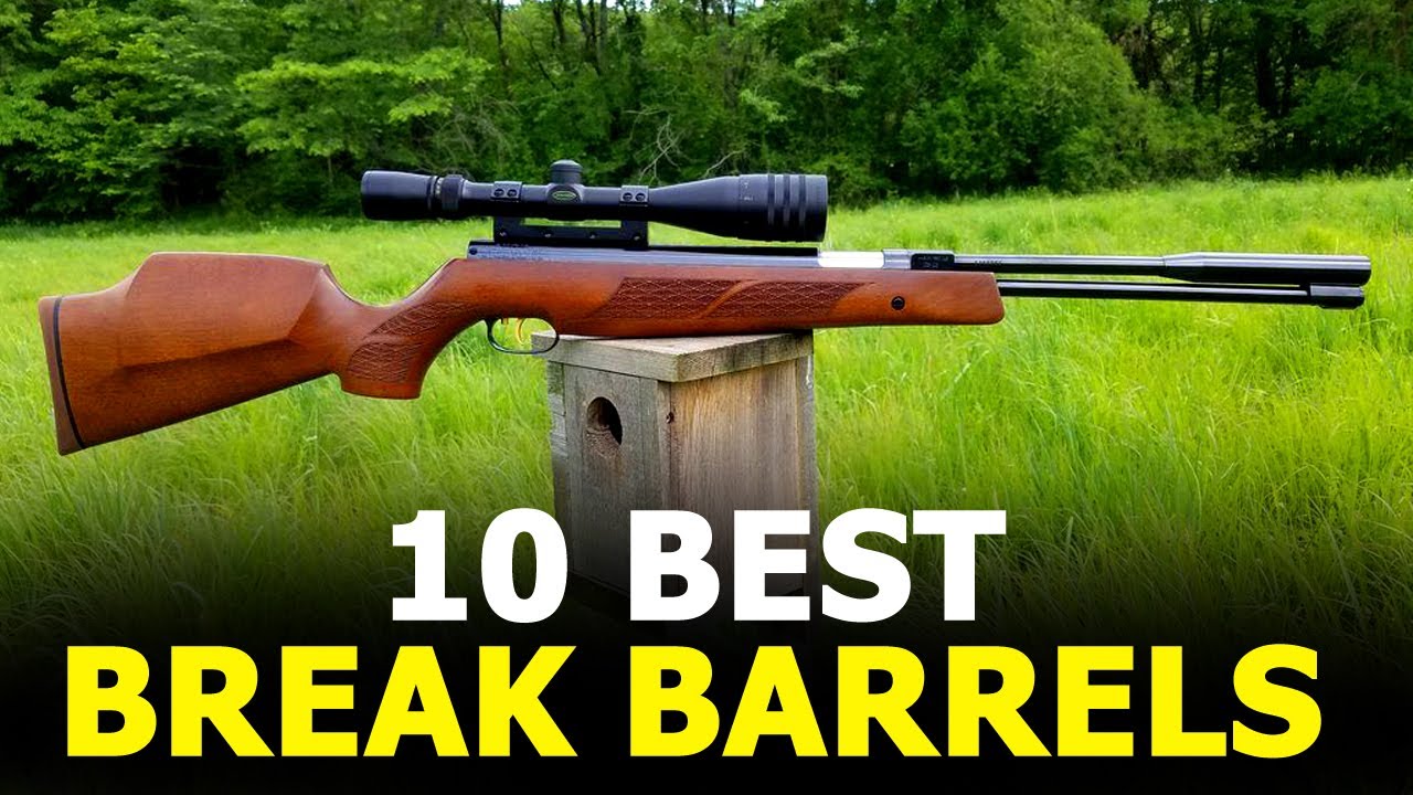 10 Best Break Barrel Air Rifles for Pest Control - 10 Hunting Air Rifles 2021
