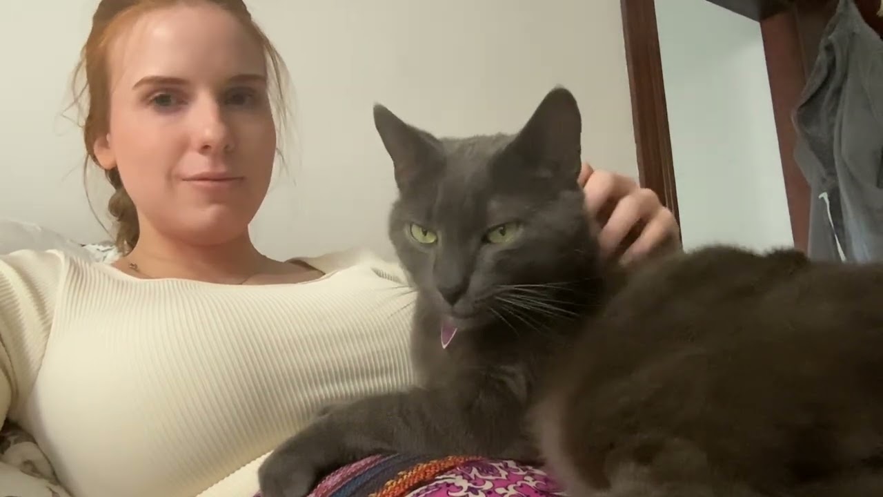 Spontaneous Lofi Cat ASMR + soft spoken