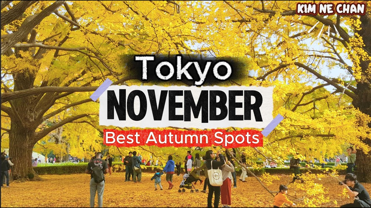 Куда сходить в Токио в ноябре 🍁 Осенние краски: гора Такао, парк Сёва Кинен, Синдзюку Гёэн
