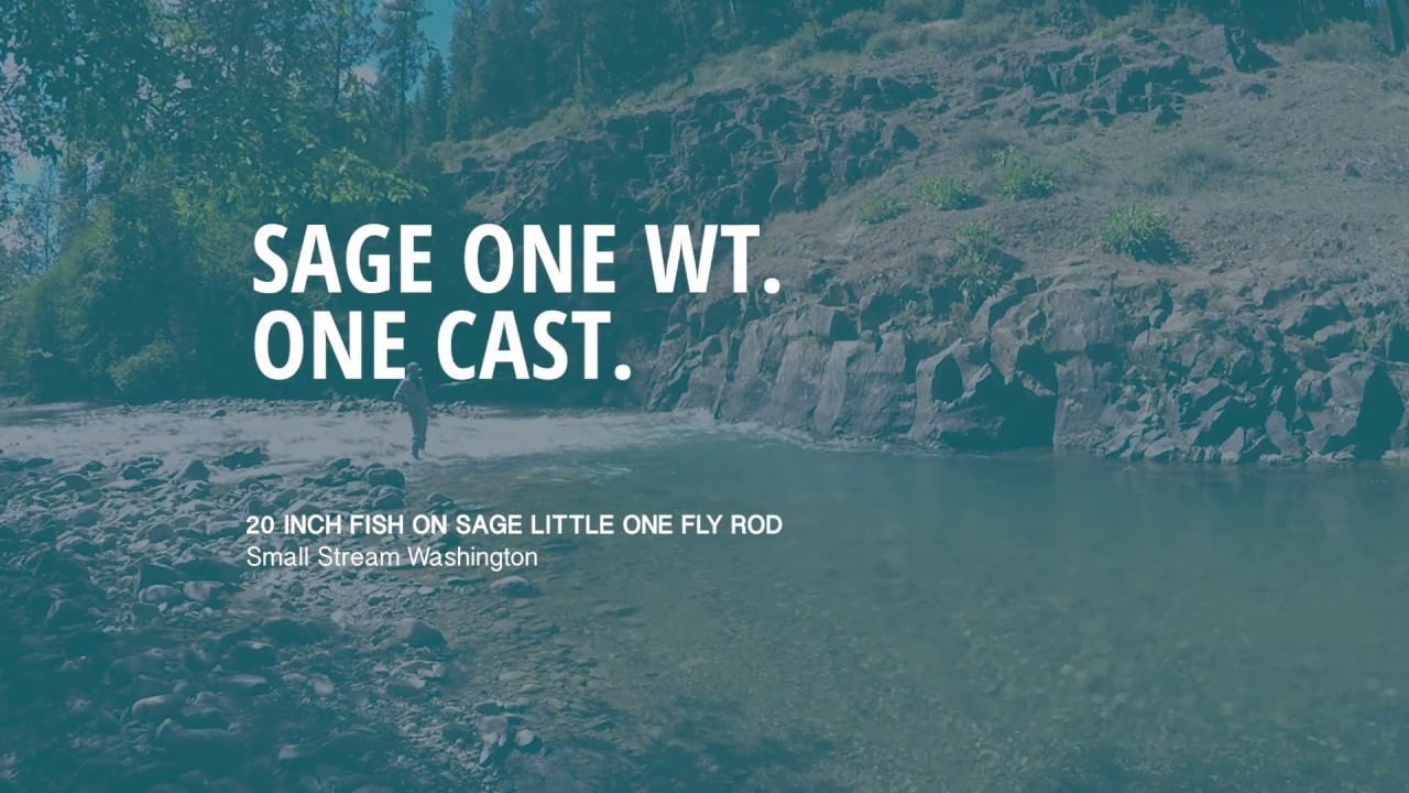 One Weight One Cast - Sage Little One Rod 20 inch Fish