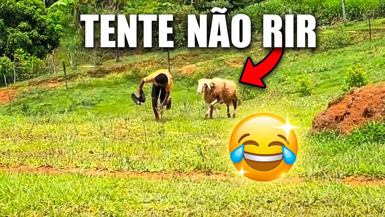 [TENTE NÃO RIR] você consegue? 😂 - os memes mais engraçados da internet #6 