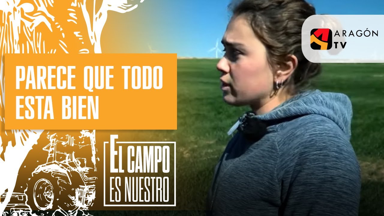 Parece que todo está bien, pero no es así
