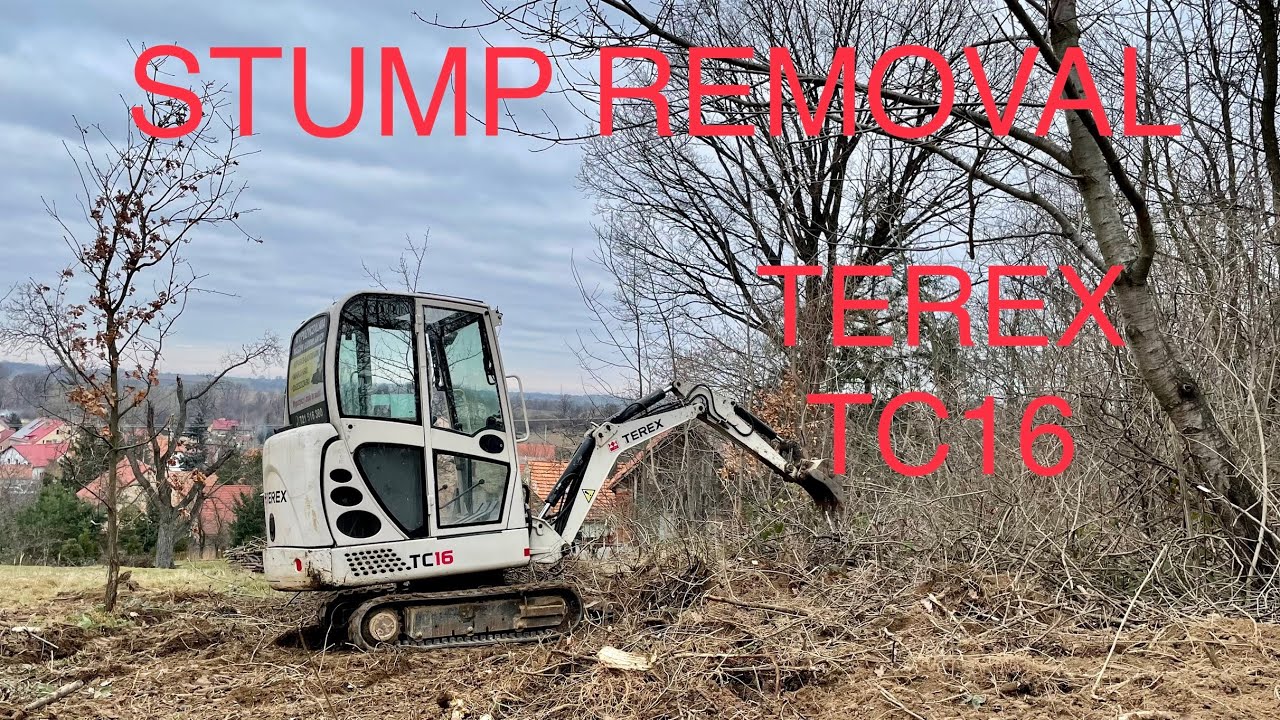 TEREX TC16 mini excavator stump removal