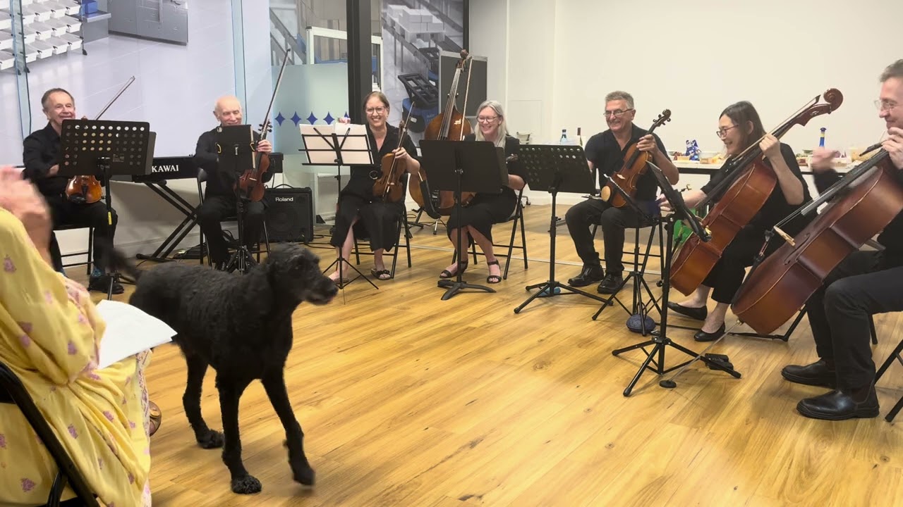 Friday Collective 28th Feb 2026 concert