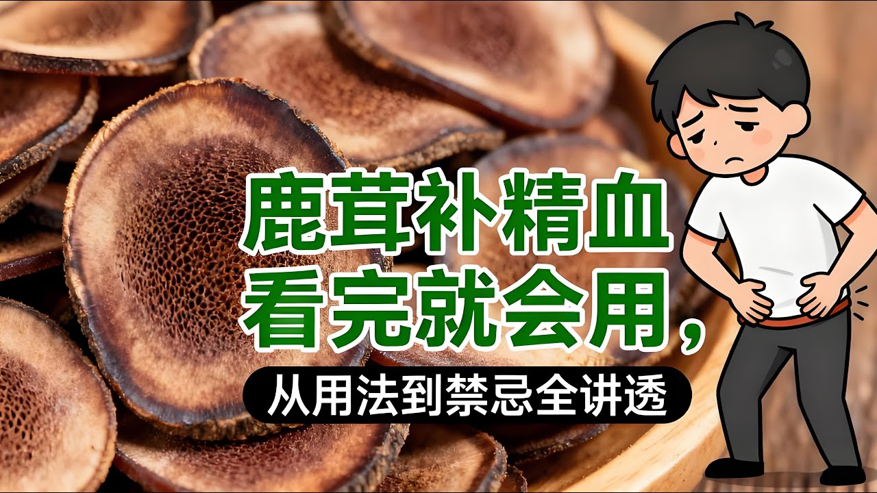 鹿茸到底有多厲害？補腎壯陽、益精血、強筋骨，古籍記載的滋補聖品，現代人該怎麼用？