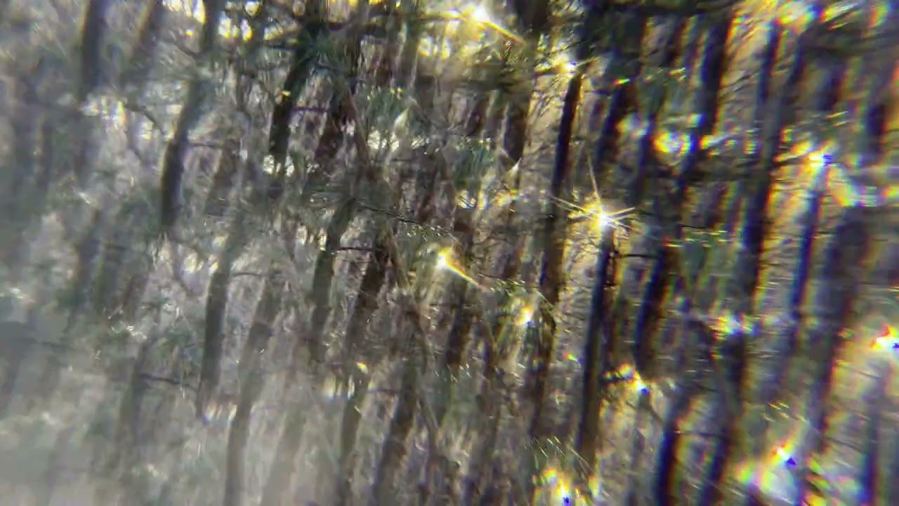 XOR - Wave returns to the ocean