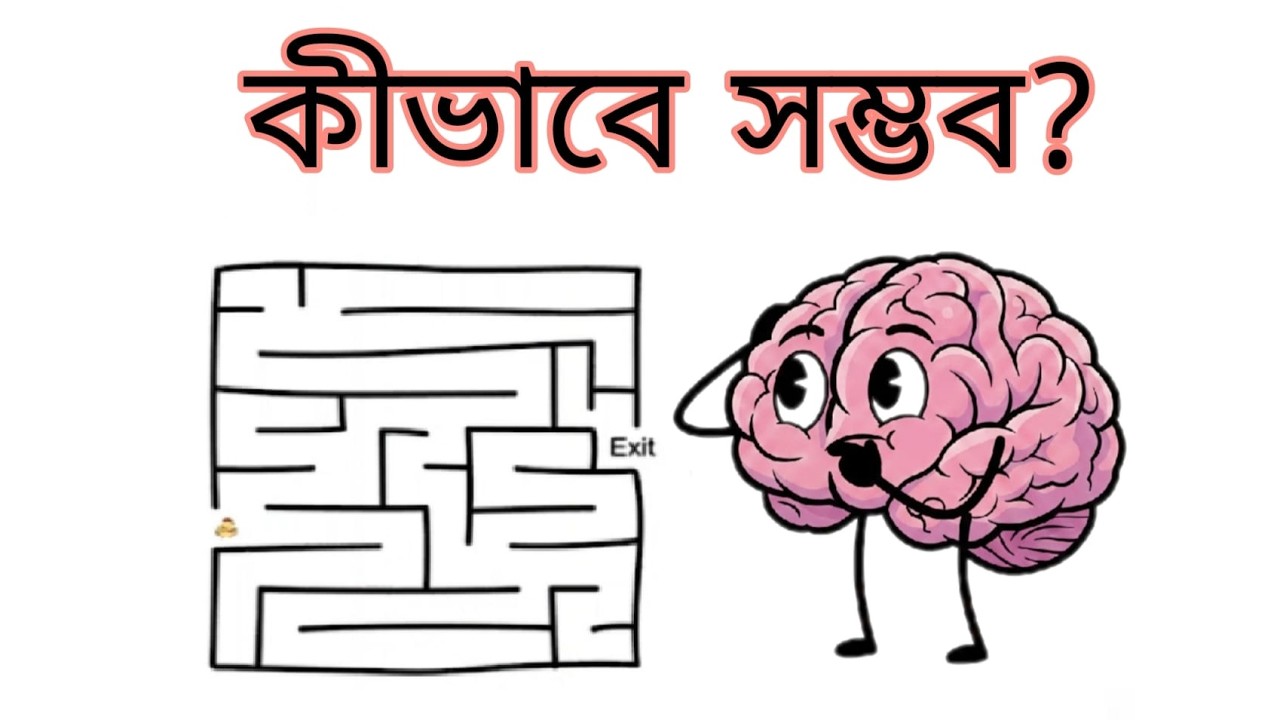 Is This Really Possible? 😭 | Brain Out Gameplay