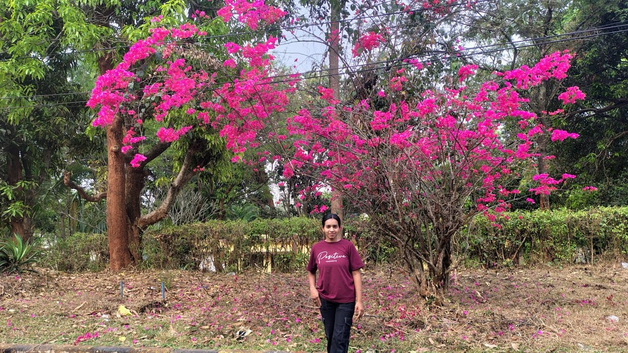  Bhai kuch zyada ho gya ?? must watch 🤣🫣