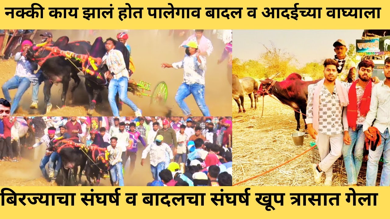 नक्की काय सुट्टीला का दोन वेळा गाडी सुटून पुढे आला बादल व वाघ्या 😱🙏