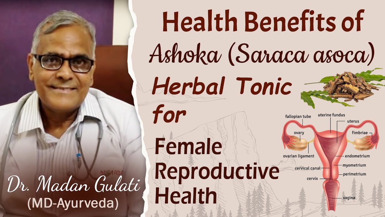 Health Benefits of Ashoka (Saraca Asoca) | Herbal Tonic for Female Reproductive System Diseases