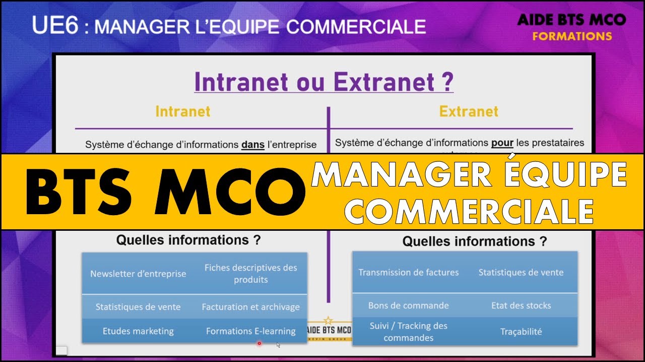 AIDE BTS MCO | Intranet ou Extranet ? Quelles sont les différences ? | U6 MANAGEMENT D'EQUIPE